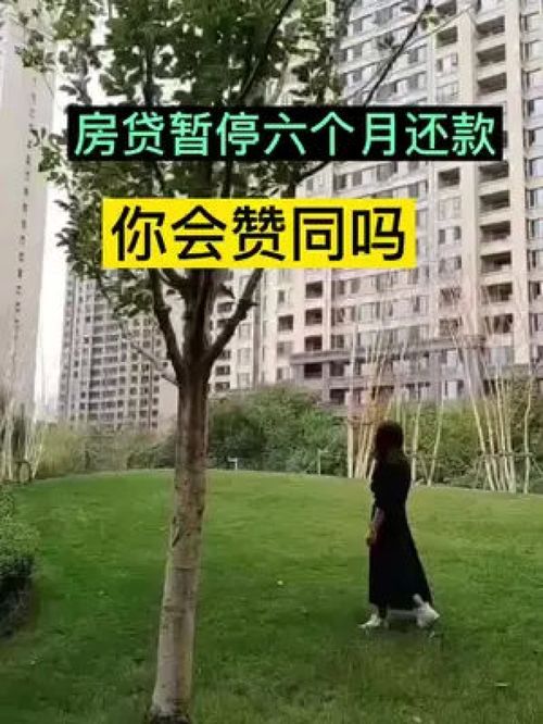 買房那些事 最新消息 房產(chǎn)知識分享 干貨分享 房產(chǎn)咨詢 分享房產(chǎn)知識