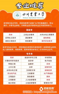 成人教育培訓 寧夏成人教育 鋸橙教育 查看